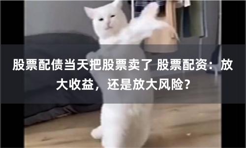 股票配债当天把股票卖了 股票配资：放大收益，还是放大风险？