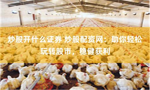 炒股开什么证券 炒股配资网：助你轻松玩转股市，稳健获利