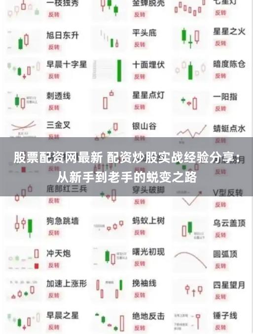 股票配资网最新 配资炒股实战经验分享:从新手到老手的蜕变之路