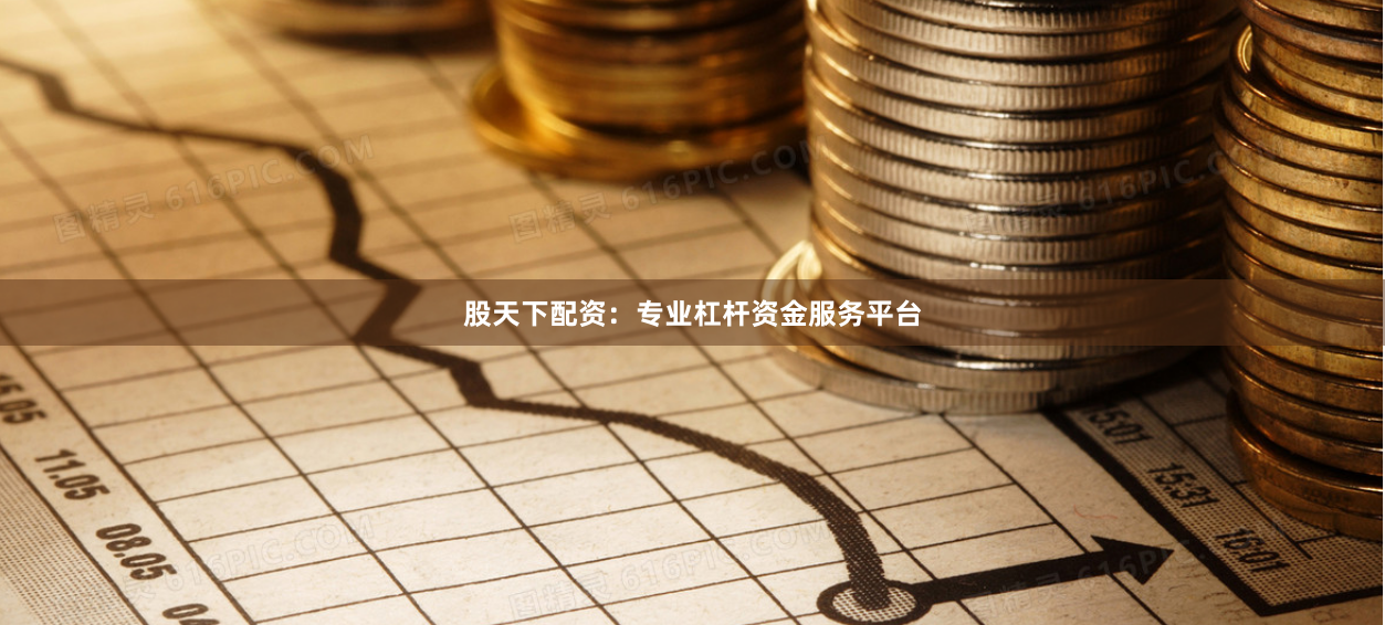 股天下配资:专业杠杆资金服务平台