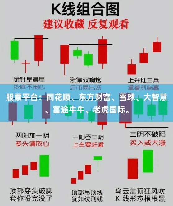 股票平台：同花顺、东方财富、雪球、大智慧、富途牛牛、老虎国际。